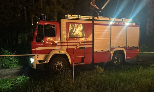 Die Feuerwehr musste verhindern, dass das Feuer auf den Wald übergreift.