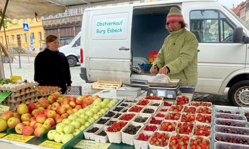 Ab August findet der Wochenmarkt mittwochs und samstags auf dem Marktplatz statt.