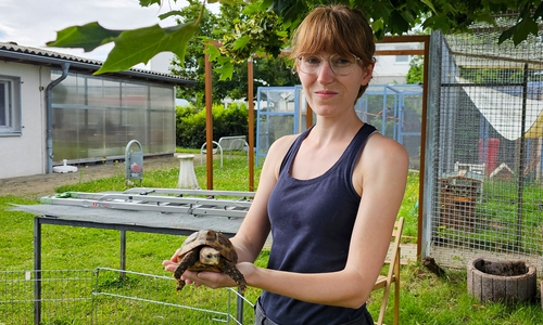 Stena Schlicht, im Wolfenbütteler Tierheim für die Kleintiere verantwortlich, mit der aktuell gefundenen Schildkröte.