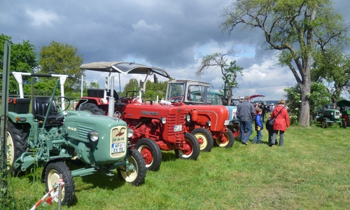 Einige historische Traktoren bei der Treckermeile 2011, damals noch auf dem Hof Rollwaage in Sehlde.
