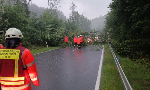 Auf der Straße Clausthaler Straße kippte ein Baum um.