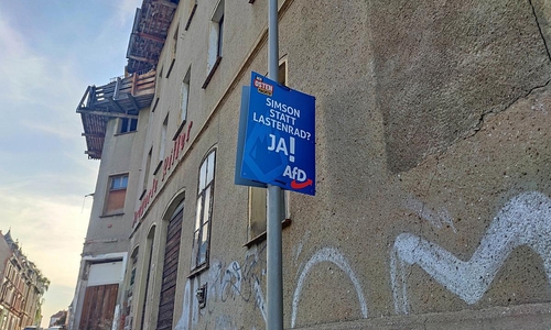 AfD-Wahlplakat zur Landtagswahl in Thüringen (Archiv)