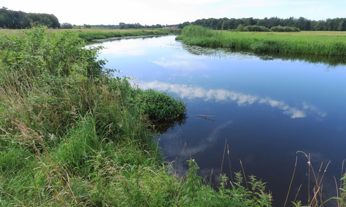 Die Aller bei Müden ist bald um einige Strömungslenker und Uferstrukturen reicher. Sie kommt so ihrem natürlichen Zustand ein Stück näher.