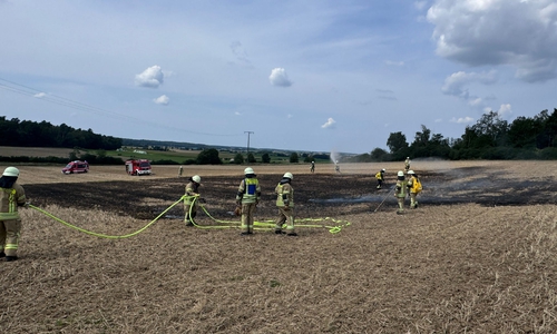 Die Feuerwehr konnte den Flächenbrand schnell unter Kontrolle bringen.