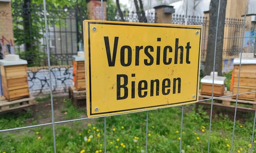 Schild mit der Aufschrift "Vorsicht Bienen" (Archiv)