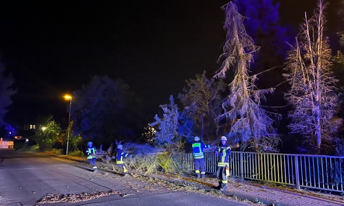 In Flechtorf musste ein Sturmschaden beseitigt werden. 