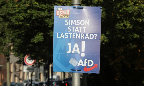 AfD-Wahlplakat zur Landtagswahl in Thüringen (Archiv)