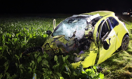 Der Fahrer überlebte den Unfall leider nicht. 