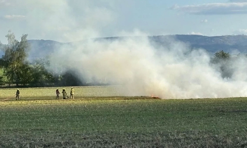 Die Feuerwehr musste zu einem Flächenbrand ausrücken.