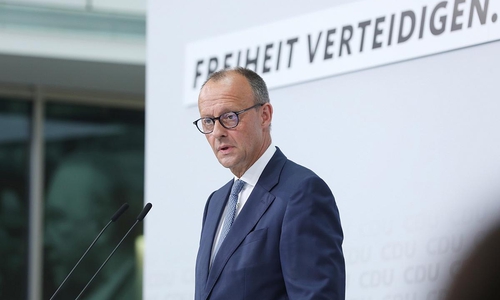 Friedrich Merz (Archiv)