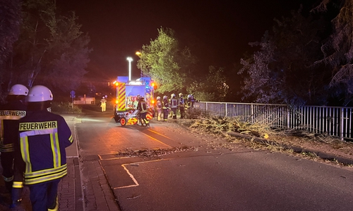 Im Landkreis Helmstedt musste die Feuerwehr zu Sturmeinsätzen ausrücken. 