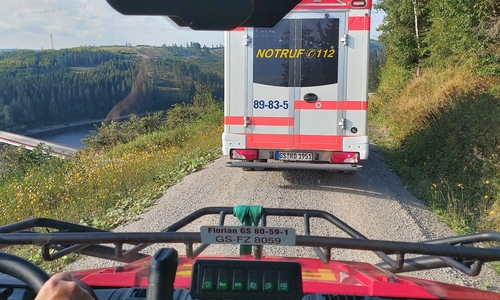 Begegnungsverkehr ist auf dem schmalen Waldweg nur an sehr wenigen Stellen möglich. In der Regel kann die Strecke nur von einem Fahrzeug befahren werden.