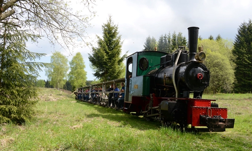 50-PS-Dampflok Fabian mit Personenzug.