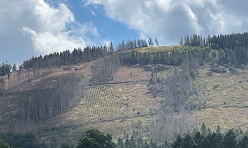 Bei besten Lichtverhältnissen sind die parallel verlaufenden Linien zu erkennen.