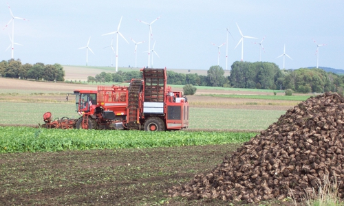 Während der Herbsternte sind viele Erntefahrzeuge unterwegs.