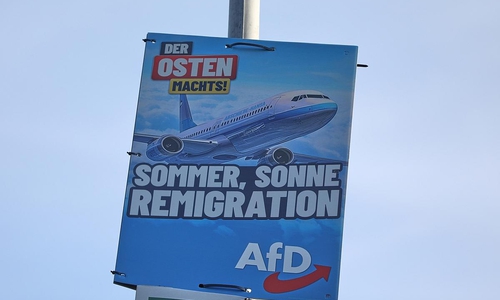 AfD-Wahlplakat zur Landtagswahl in Thüringen (Archiv)