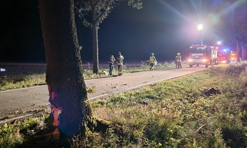 Bei der Kollision mit dem Baum wurde der Motorblock herausgerissen. Dieser lag mehrere Meter entfernt am Straßenrand.