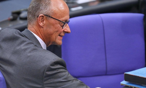 Friedrich Merz (Archiv)