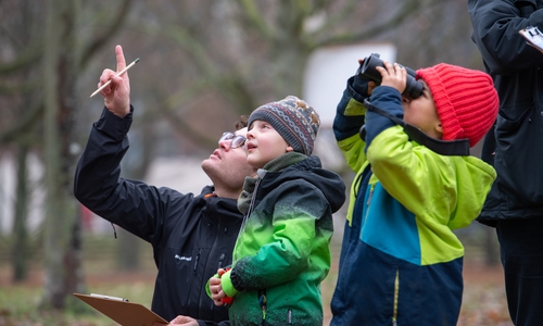 Eine erste Zwischenbilanz der Stunde der Wintervögel liegt vor.