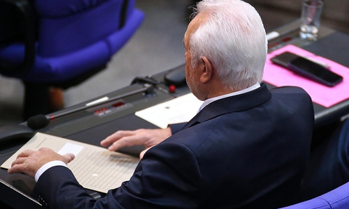 Wolfgang Kubicki (Archiv)