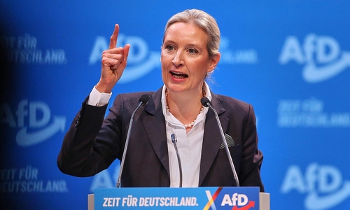 Alice Weidel (Archiv)