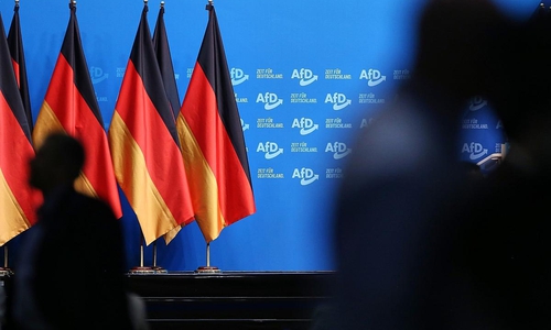 AfD-Parteitag am 12.01.2025