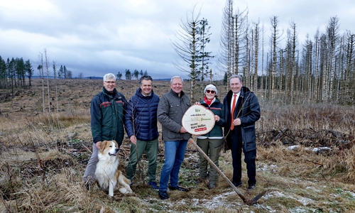 v.l.: Michael Rudolph (Niedersächsische Landesforsten), Malte Heinemann (fit4future foundation), Jürgen Brinkmann (Volksbank BRAWO), Josefine Barke (Niedersächsische Landesforsten) und Thomas Fast (Vorstandsvorsitzender der Volksbank BRAWO Stiftung) pflanzen die ersten Bäume des Aufforstungsprojekts ‚Harz Helfer‘ auf der Fläche nahe Bad Harzburg.