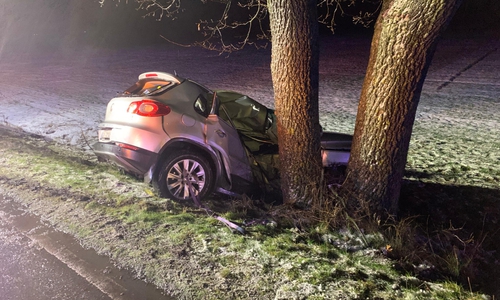 Der Fahrer konnte nur noch tot geborgen werden.