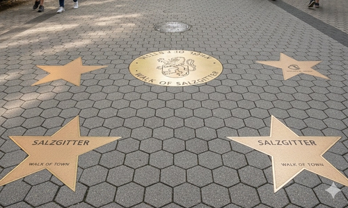 Bekommt Salzgitter einen Hauch Hollywood? 