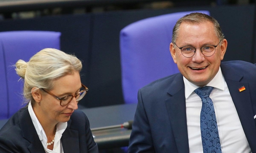 Alice Weidel und Tino Chrupalla (Archiv)