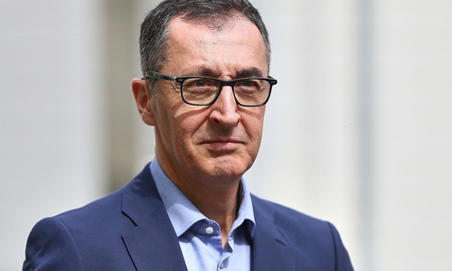 Cem Özdemir (Archiv)