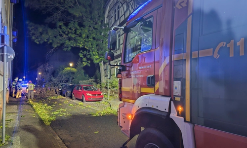 Ein Baum beschädigte die geparkten Autos.