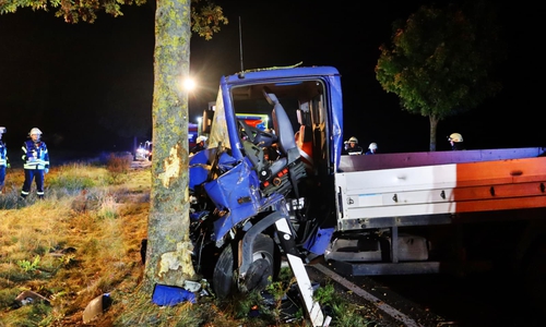 Der Fahrer musste aus diesem Kleinlaster befreit werden.