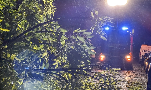 Der Baum blockierte die Straße.