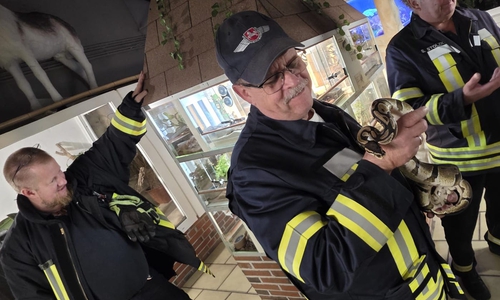 Die Feuerwehr nahm Kontakt mit den Schlangen auf.