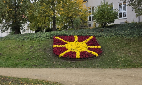 Ein weiteres, blumiges Rätsel haben wir am Stadtgraben entdeckt.