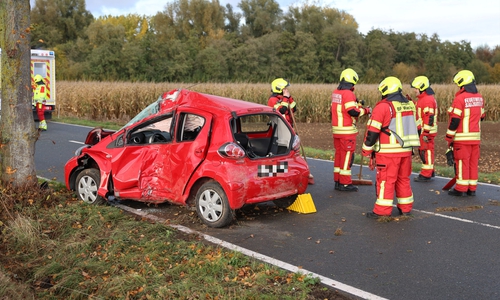 Das Auto verunfallte alleinbeteiligt.