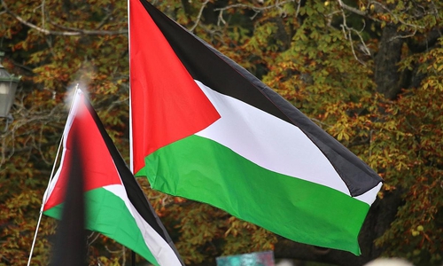 Palästinenser-Flaggen (Archiv)