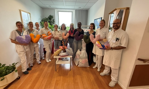 Schülerinnen und Lehrerinnen des Robert-Koch-Gymnasiums in Clausthal-Zellerfeld überreichen Mitarbeitenden des Asklepios Harzkliniken die selbst genähten Herzkissen für die Brustkrebs-Patient:innen – rechts Ahmed Zidan, Chefarzt der Klinik für Frauenheilkunde und Geburtshilfe der Asklepios Harzkliniken, daneben Dr. med. Larissa Henze, Ärztliche Direktorin der Asklepios Harzkliniken.  