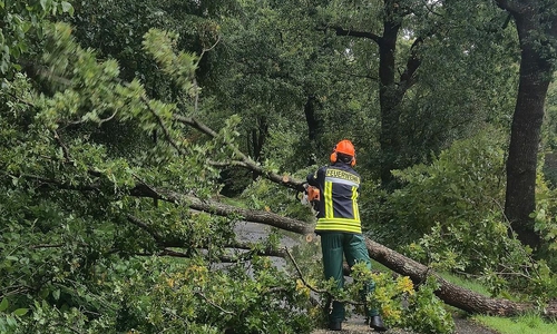 Baum blockiert Straße in Aurich-Wiesens (Archiv)