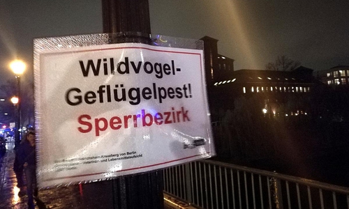 Warnschild vor Geflügelpest in Berlin (Archiv)