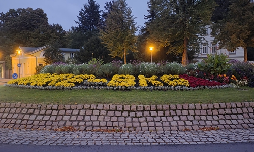 Was will die Stadt mit der Blumenbeschriftung sagen? 