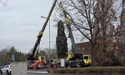Am gestrigen Montag wurde die Weihanchtstanne angeliefert, die vor Jägermeister stehen wird. 