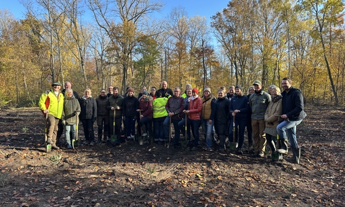 Mitarbeiter der BS Energy Gruppe bei der Baumpflanz-Aktion zum 25-jährigen Bestehen der Veolia Stiftung.