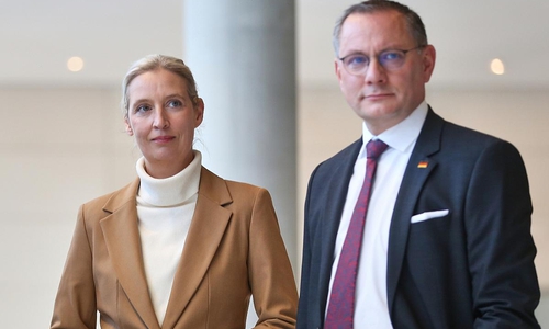 Alice Weidel und Tino Chrupalla (Archiv)