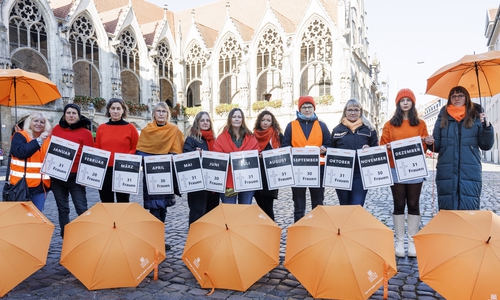 Der Arbeitskreis gegen Gewalt an Frauen hat wieder Aktionen zum internationalen Tag gegen Gewalt an Frauen am 25.11. in Braunschweig organisiert.