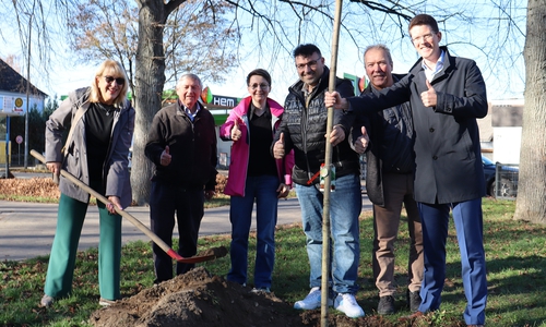 v.l.n.r.: Marion Messaritakis (Ratsmitglied), Georg Raabe (Ratsmitglied), Claudia Wilke (stellvertretende Bürgermeisterin), Torsten Langer (Ratsmitglied), Stefan Ring (stellvertretender Bürgermeister) und Tobias Grünert (Bürgermeister).
