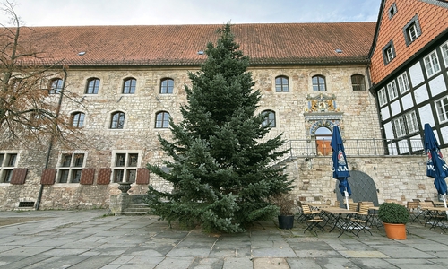  Auf dem Domplatz und dem Altstadtmarkt stehen zwei große Nordmanntannen als Vorboten auf die besinnliche Adventszeit in der Löwenstadt.