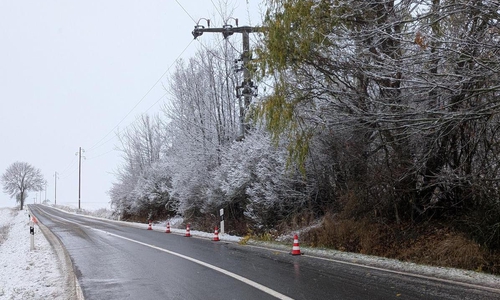 Durch die starke Schneelast war ein Baum auf eine Oberleitung gesunken.