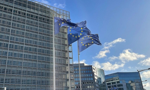 EU-Fahnen (Archiv)